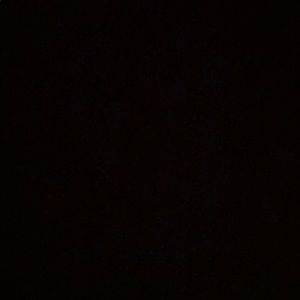 Meet your Posher, Lazaro